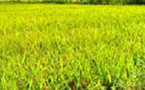 �ļ���Ұ���ĺϼ�8ƪ