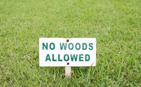 2017���ռӏ�(qi��ng)�����t(y��)���l(w��i)���C(j��)��(g��u)�˲��(du��)�齨�O(sh��)ͨ��