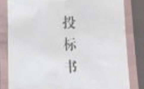 投標委托合同2篇