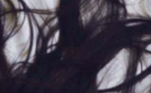 �^�l(f��)����(l��i)�ğ������ġ�����