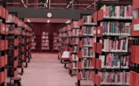 熱鬧的圖書義賣活動(dòng)作文