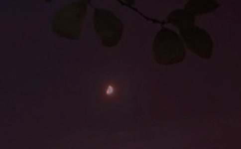 ���T��(g��)������������ȫ�����x85�䣩