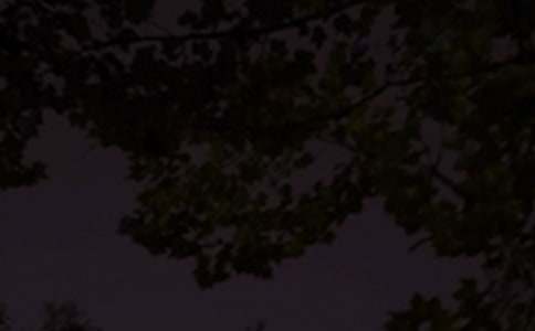 �������������Z