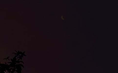 ɢ�������S�P