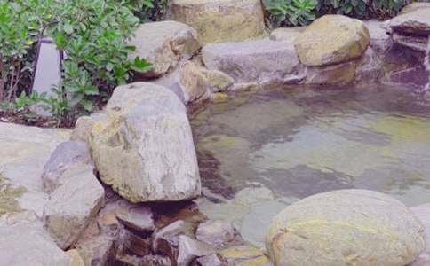 �Ұl(f��)�F(xi��n)���ݜ�Ȫ��ʹ��Ϳ옷���ģ�ͨ��45ƪ��