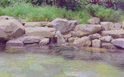 �����á���Ȫ����500����ƪ