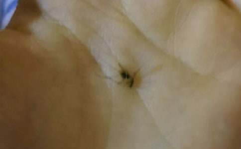 關(guān)于蚊子趣事作文(精選21篇)