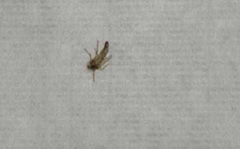 �o���ӵ�һ����(���x15ƪ)