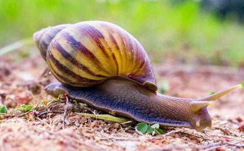 ΁ţ�l(f��)�F(xi��n)����600��9ƪ