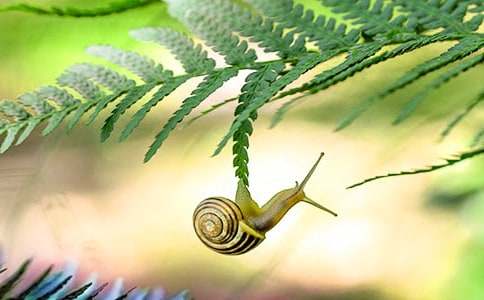 �Ұl(f��)�F(xi��n)��΁ţ���������ķ���