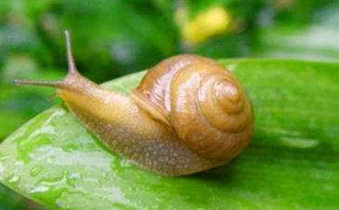 ΁ţ��������7ƪ