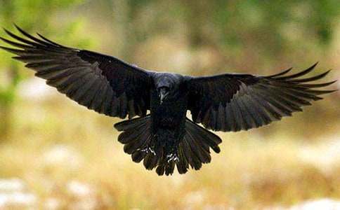 ���f��ˮ�Č�����