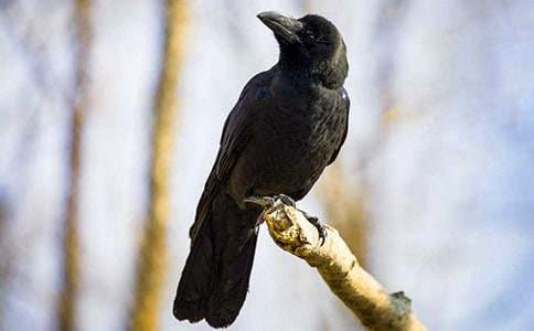 ���f��ˮͯԒ����