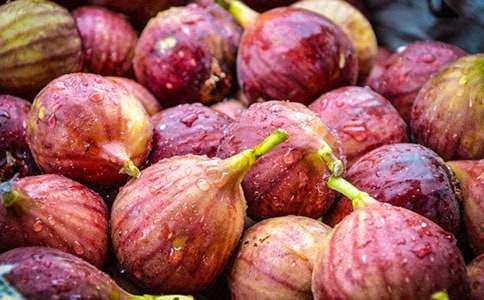 無(wú)花果樹作文450字(精選30篇)