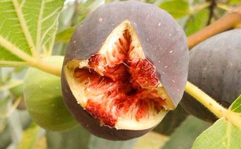 �o�������400�����ģ�ͨ��20ƪ��