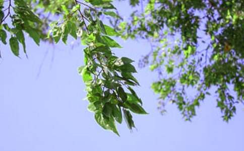 ů���簲ף���Z��ȫ�����x80�䣩