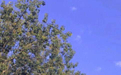 ��(j��ng)��ů���簲�����Z70�侫�x