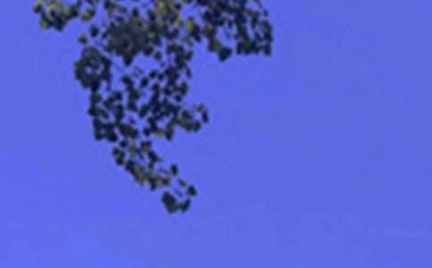 ����ϵ�簲���ZQQ42��