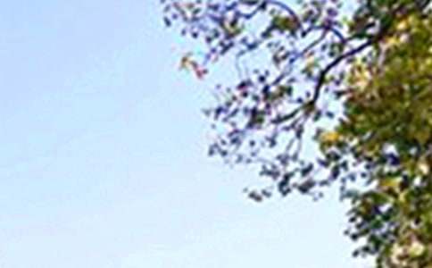 ��ů���簲���Z΢��43��