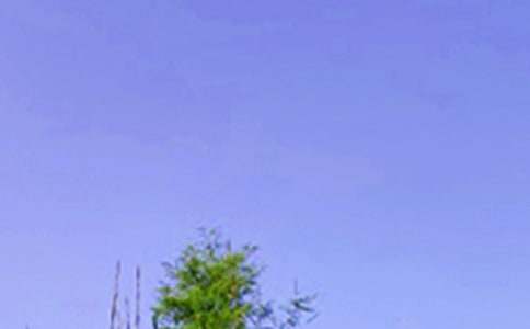 Ψ�����簲���Z΢��