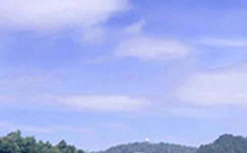 �P(gu��n)�ڂ����簲������ȫ80��