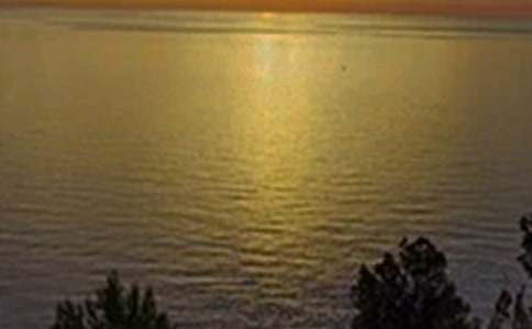 關(guān)于暖心午安祝福語(yǔ)大全(通用50句)