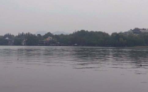 【精選】游覽西湖作文4篇