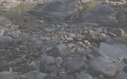 �茑Ϫ���ı�����