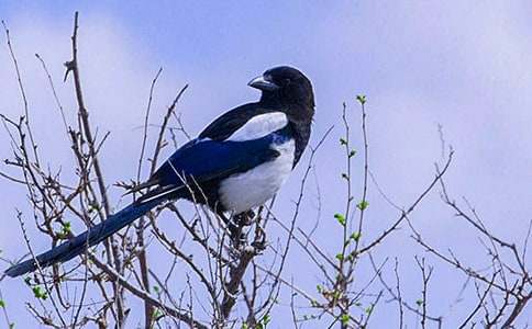 �P(gu��n)��ϲ�oͯԒ�����\����ƪ