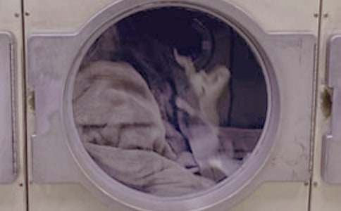 ��һ��ϴ�·�С�W���ąR��15ƪ