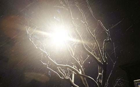 �������ﲻ��ѩ����800��