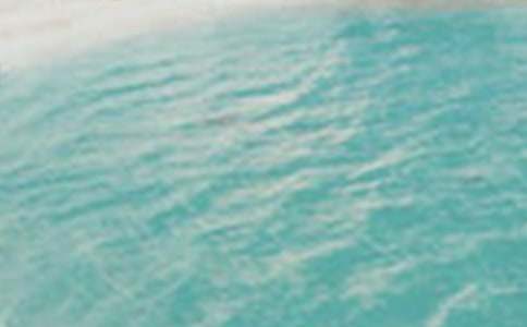 夏季的美景作文