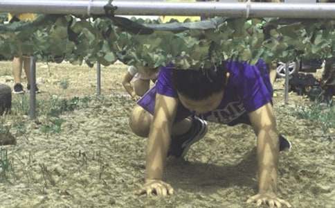 ��ĩ����I��Ӣ�Z���ģ�ͨ��16ƪ��