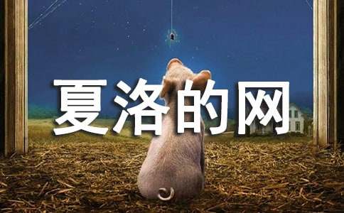 ������ľW(w��ng)���x���Pӛ��(g��)�˷���