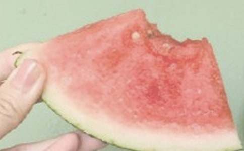 ����������Ȥ������