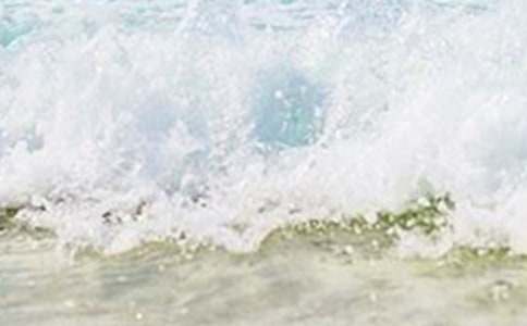 �P(gu��n)��������L(f��ng)������