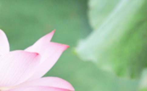 �P(gu��n)���������V�Z110��