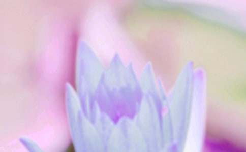 關(guān)于夏至節(jié)氣的諺語