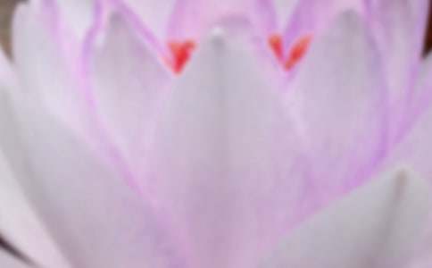 ������δ�������}���ĸ��~