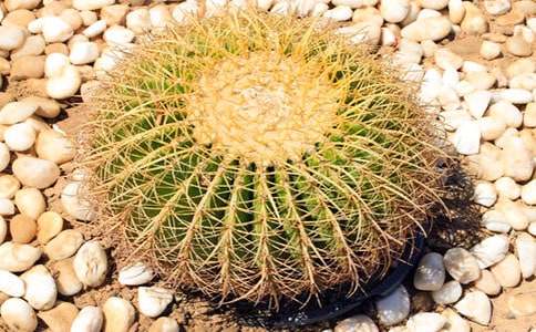 ��(qi��ng)������������3ƪ