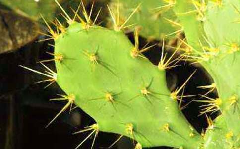 �����Ƶľ�(qi��ng)���ģ����x36ƪ��