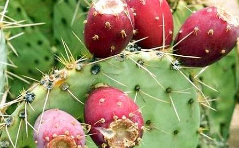 ���ķ��ģ���(qi��ng)��������