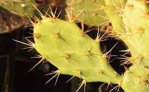 �����ƾ��x�������p