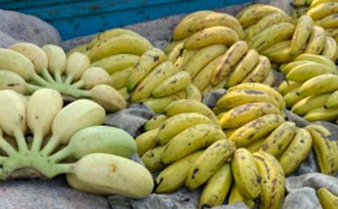 �㽶�����