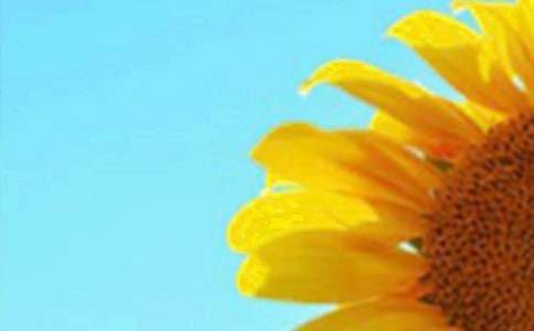 ���տ��^�����ąR��11ƪ