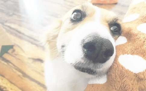 �����]���ùüҵ�С������