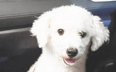 С���ڻ�����