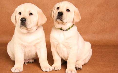 �茑С�������ģ�ͨ��27ƪ��