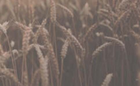 С��ُ(g��u)�N(xi��o)��ͬ��Ӱ棨���x5ƪ��