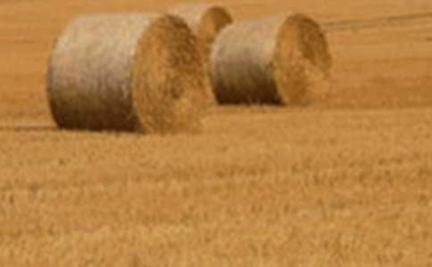 �����]��С������300��4ƪ